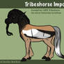 Tribeshorse Import 13