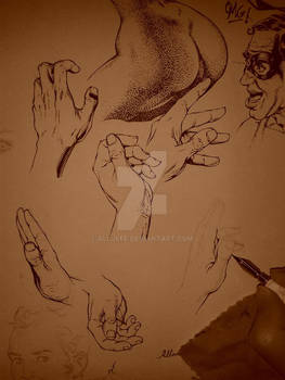 Sketches _ ink 3