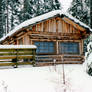 Log Cabin in Winter Woods