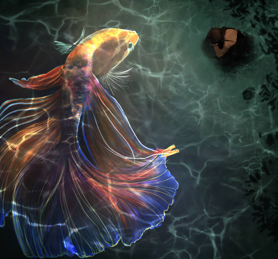 The magical fish by coffeecococreative on DeviantArt