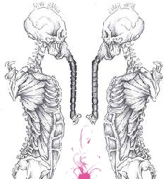 Two Skeleton