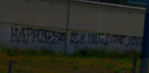 Happiness Graffiti