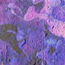hortense paper