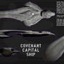 Covenant Capital Ship ortho