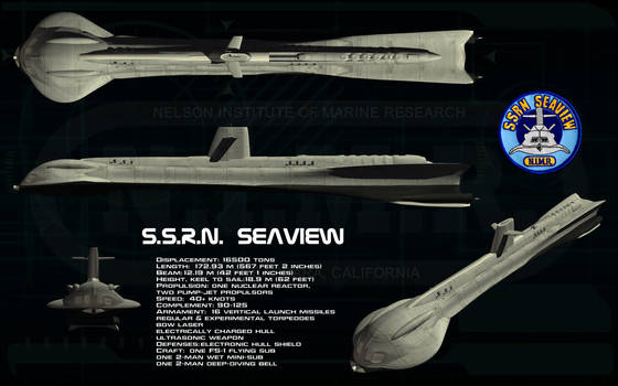 SSRN Seaview ortho