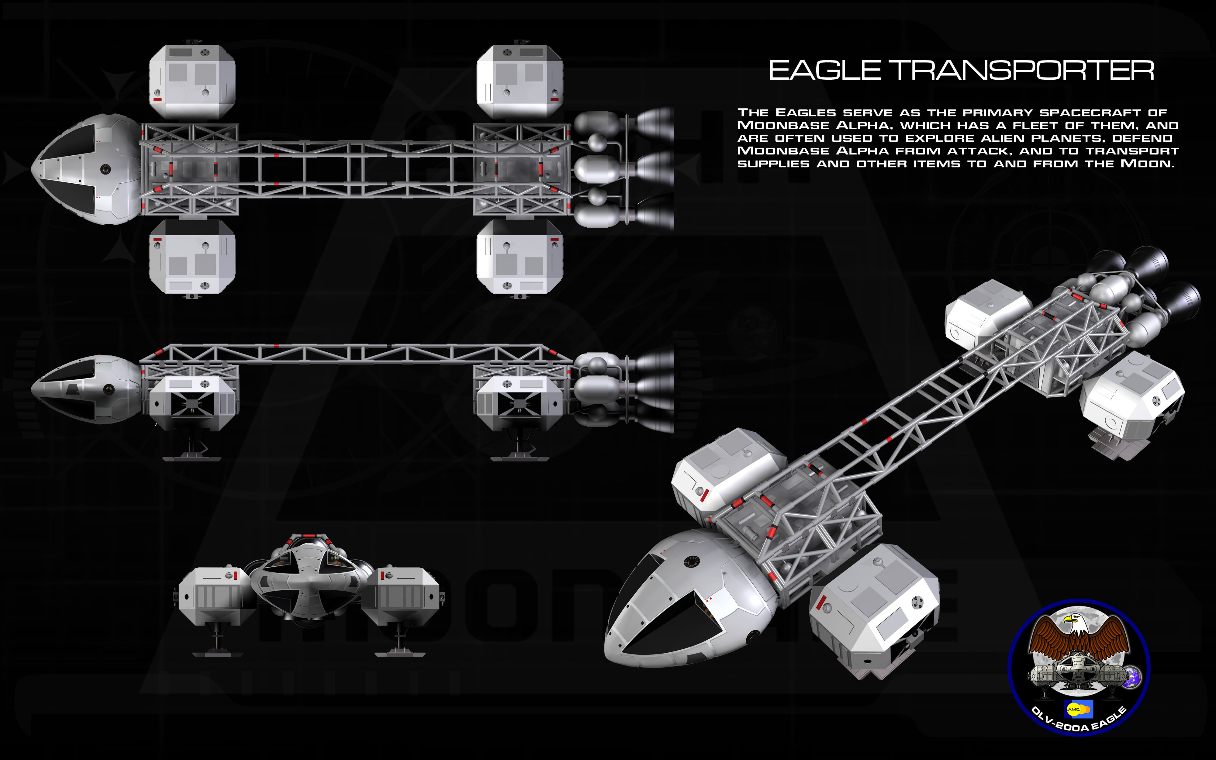 Eagle ortho (2)