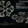 Atlantis city ship ortho
