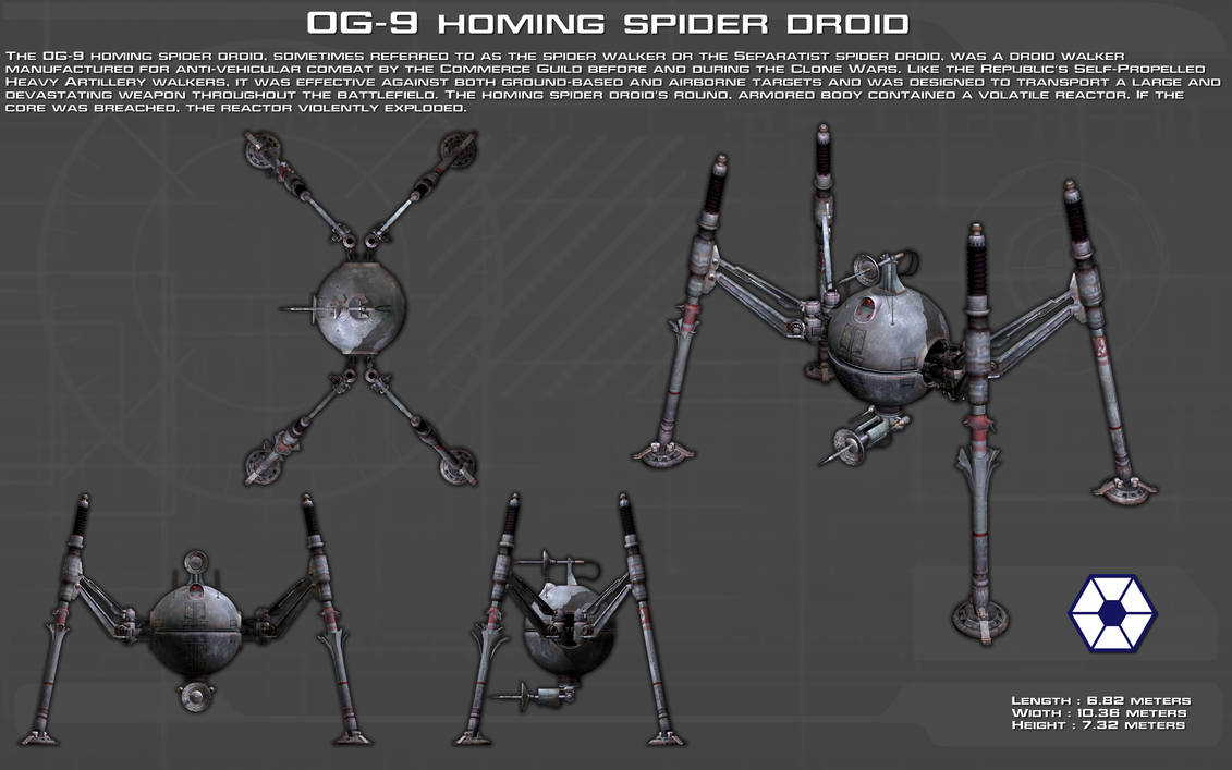 Spider Spider