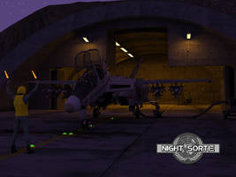 Night Sortie