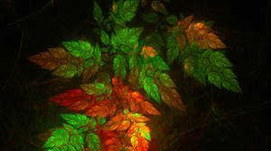 Turning Leaves by cmcougar Turning Leaves by cmcougar