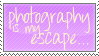 photography stamp