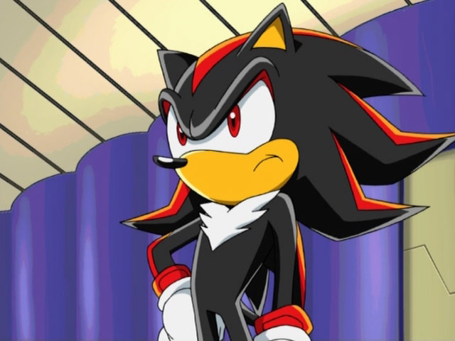 Sonic the Hedgehog V.S. Shadow the Hedgehog, This time, in Sonic X