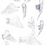 Winged Study