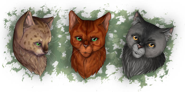 Warrior Cats - Headshots