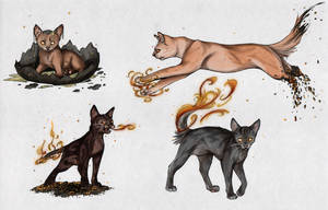 Phoenix Cat Sketches