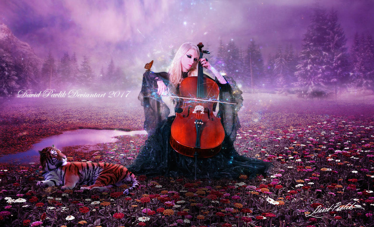 Music Of The Night by da505