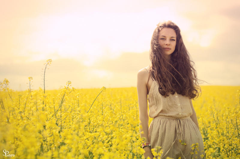 Waiting Spring Waiting Spring by sidoAndYo on DeviantArt