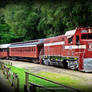 Roaring Camp's Beach Train #2600