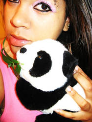 Panda Love