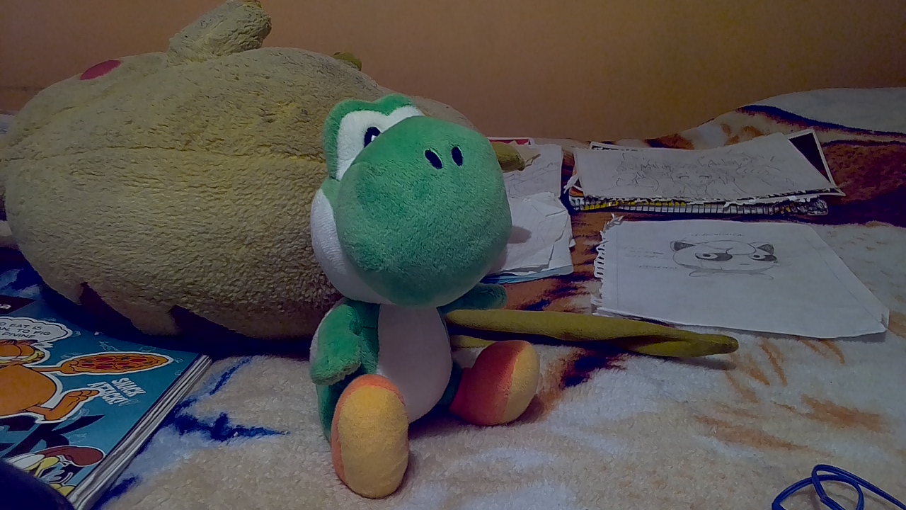 My Yoshi Plush