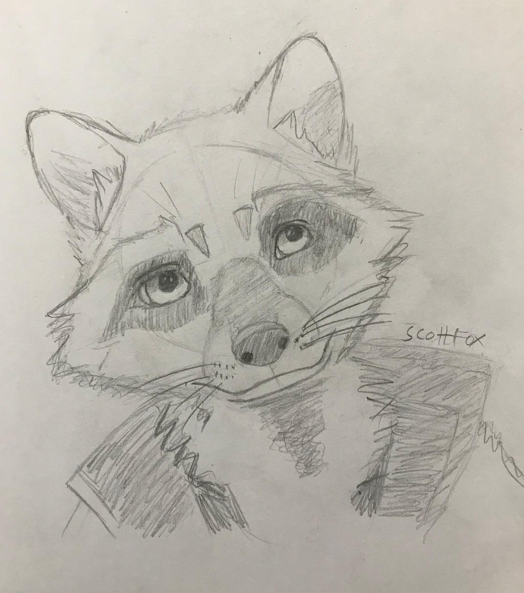 Rocket Raccoon by ScottTheFox94 on DeviantArt