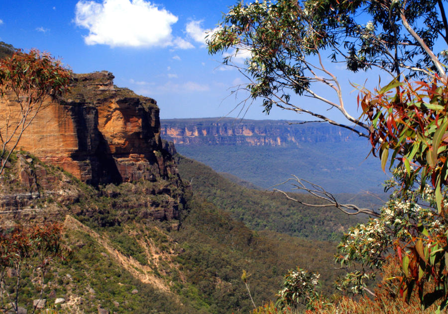 Anyone for Abseiling?