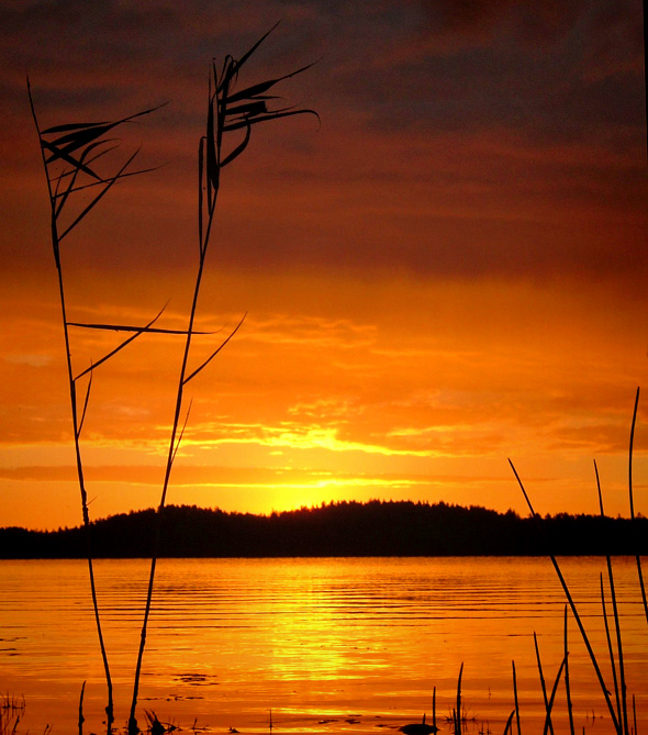 Lake side view