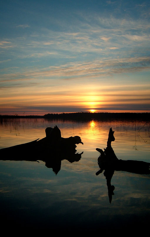 Logs and Sunrise