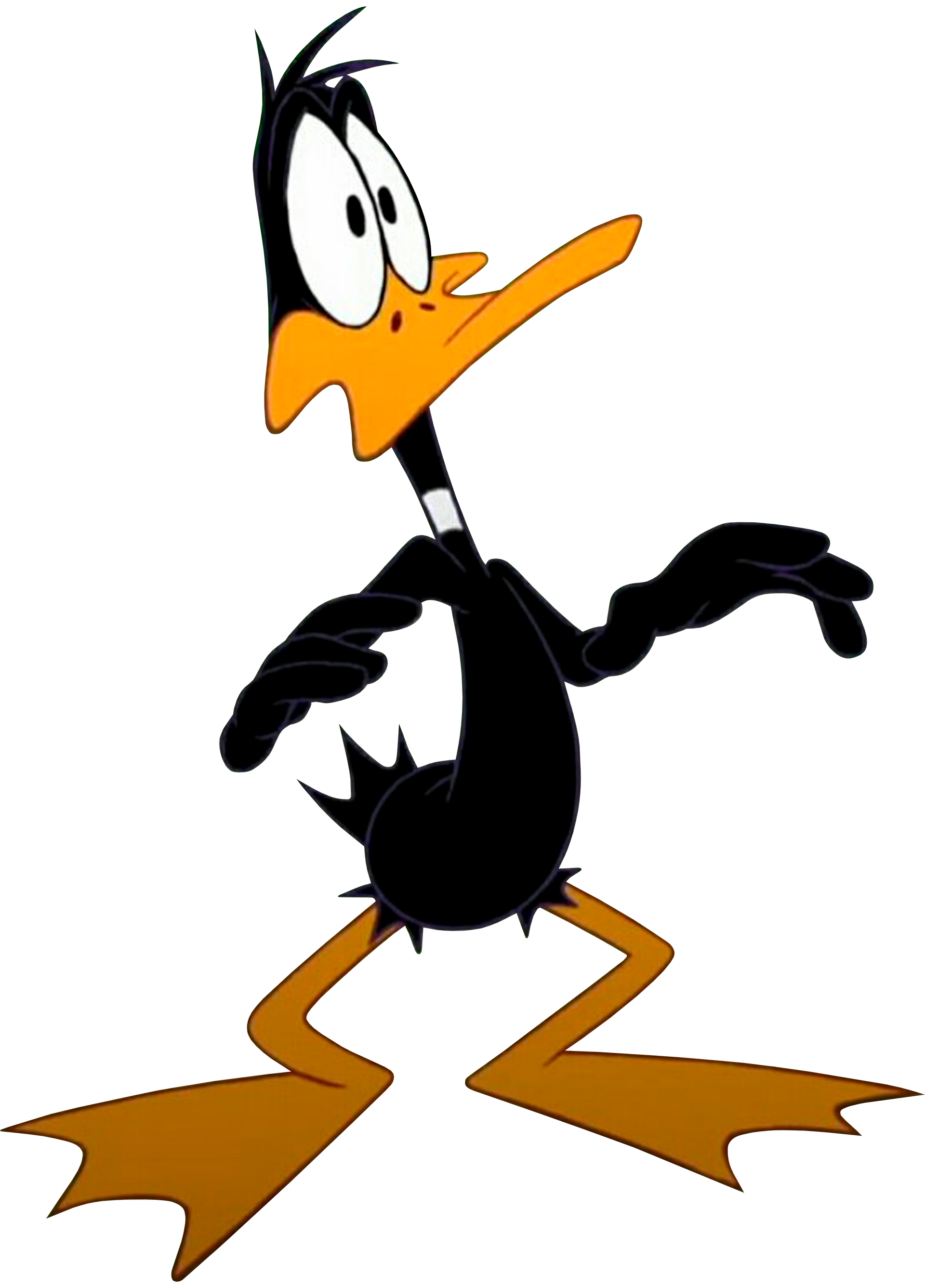 Daffy Duck (Looney Tunes Show) Vector 6 by ToonAniMexico15 on DeviantArt