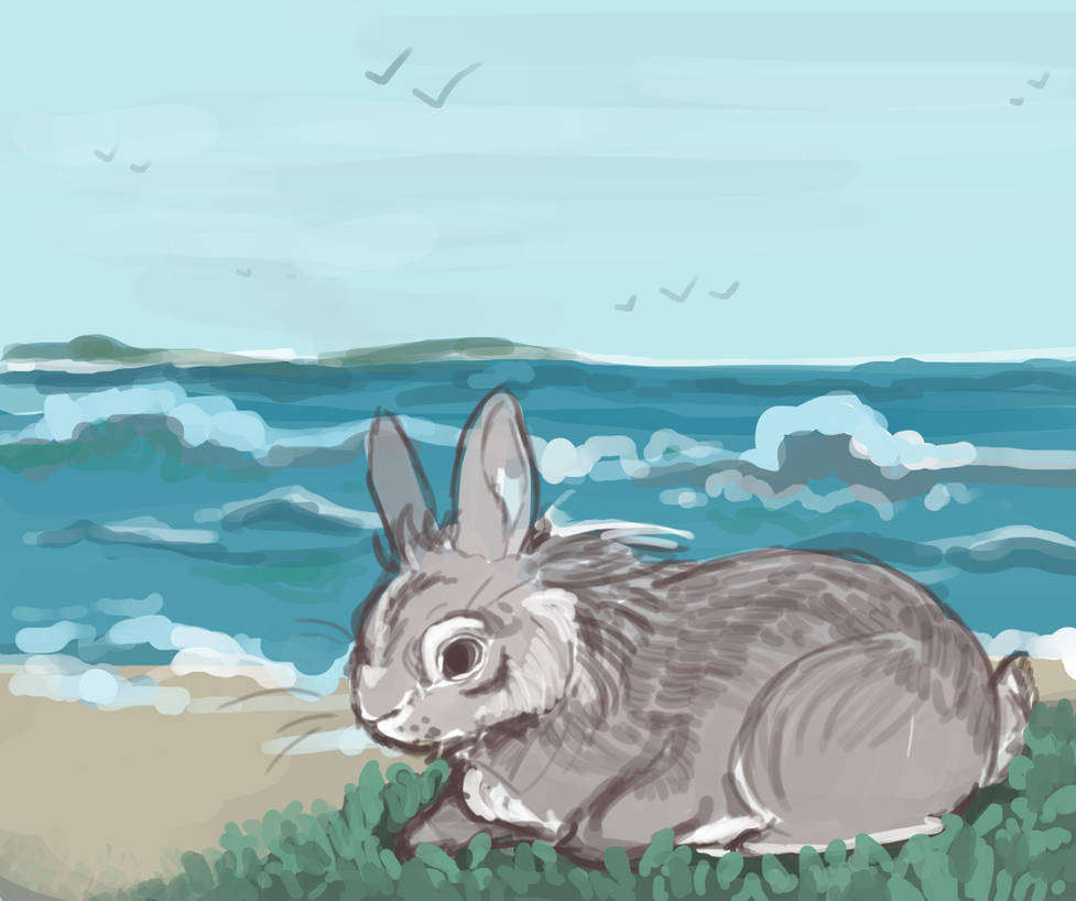 Rosetta Rabbit Year of the Rabbit by rosetta222 on DeviantArt