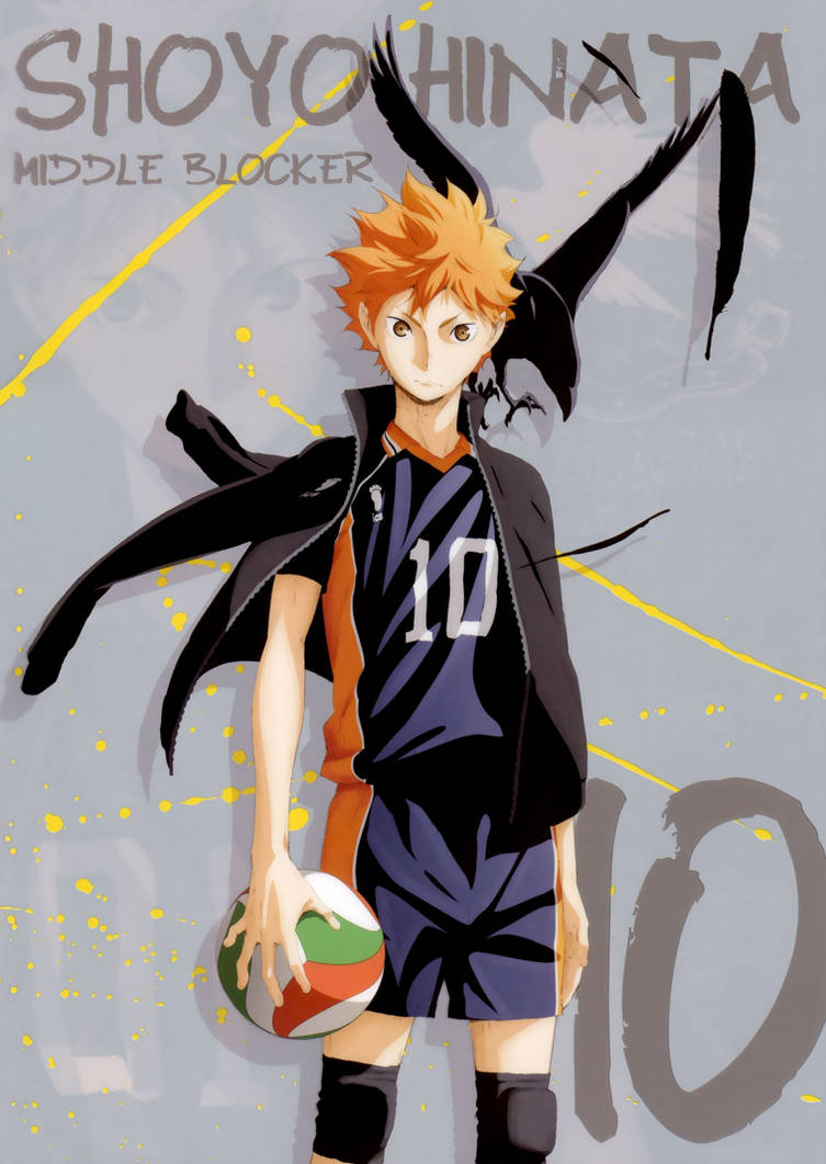 Haikyuu Hinata Artwork by corphish2 on DeviantArt