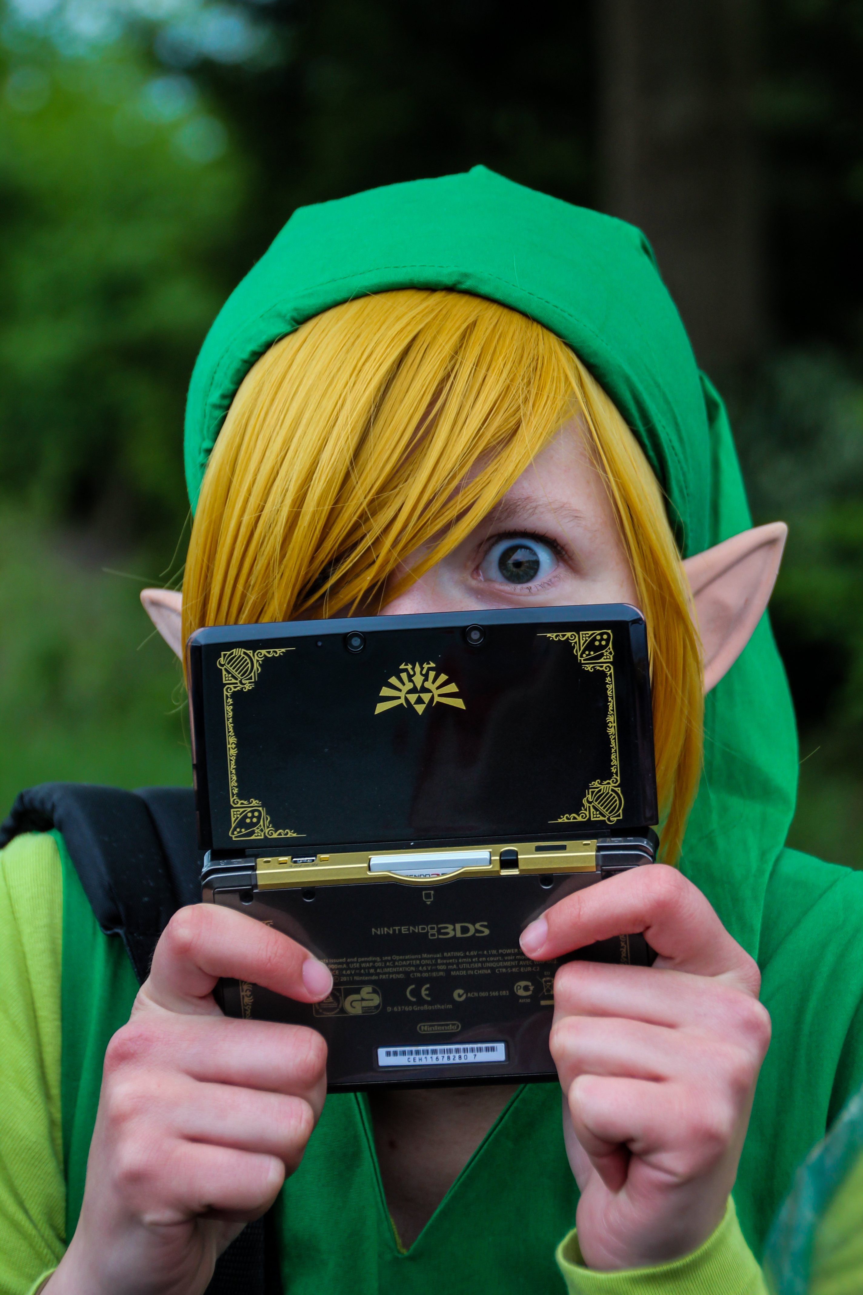 Link with a Zelda 3DS