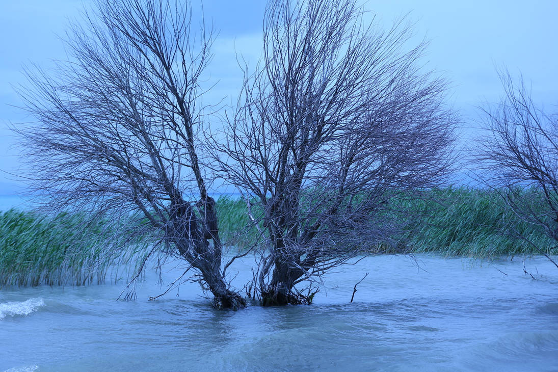 Awful Spring Image angry spring by ekin06 on DeviantArt