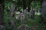Graveyard 05