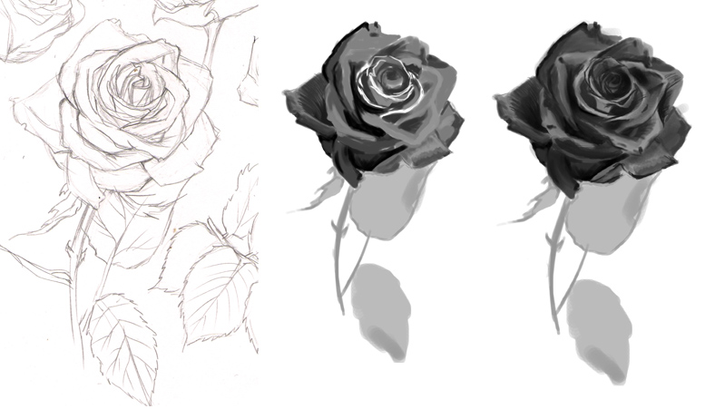 Rose - WIP