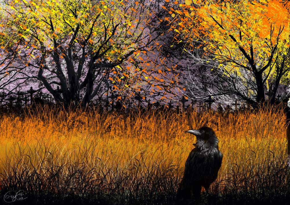 Crow by Brightstone on DeviantArt