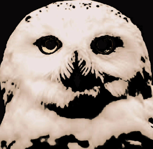 Power Ranger Psi White Snow Owl by YayPowerRangers on DeviantArt