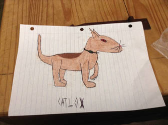 Catlox (request from FluffyBenja on wattpad)