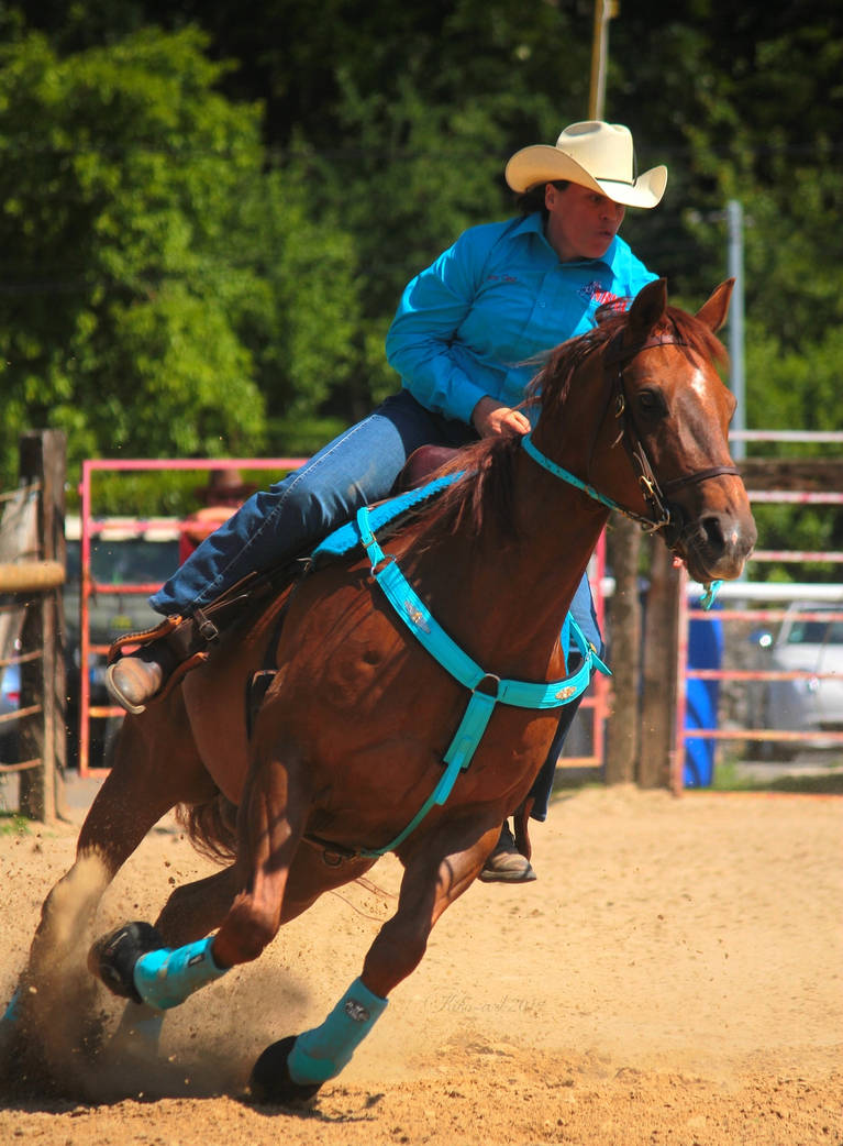 Barrel Racing by Kiko-art on DeviantArt
