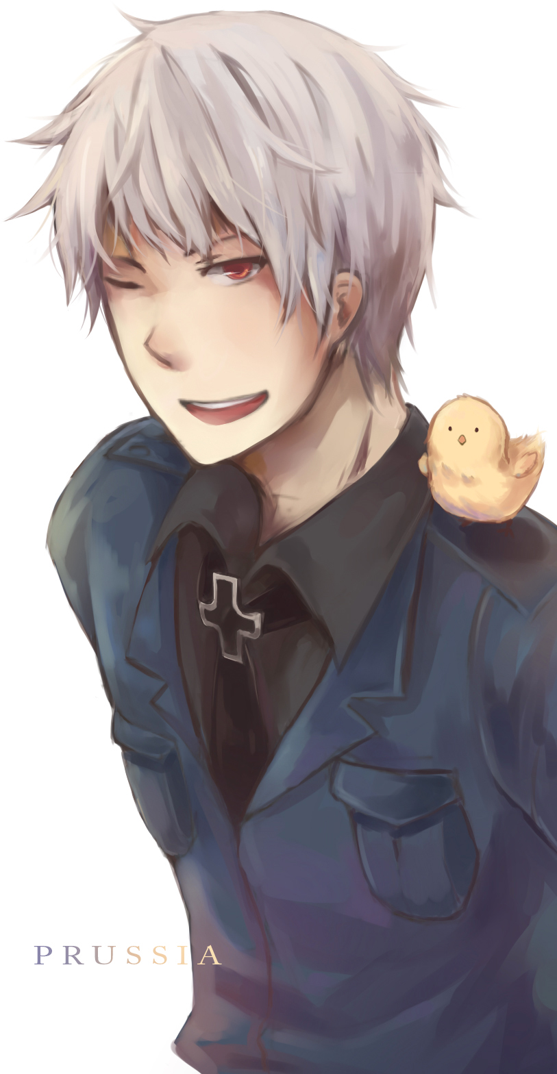 APH Prussia