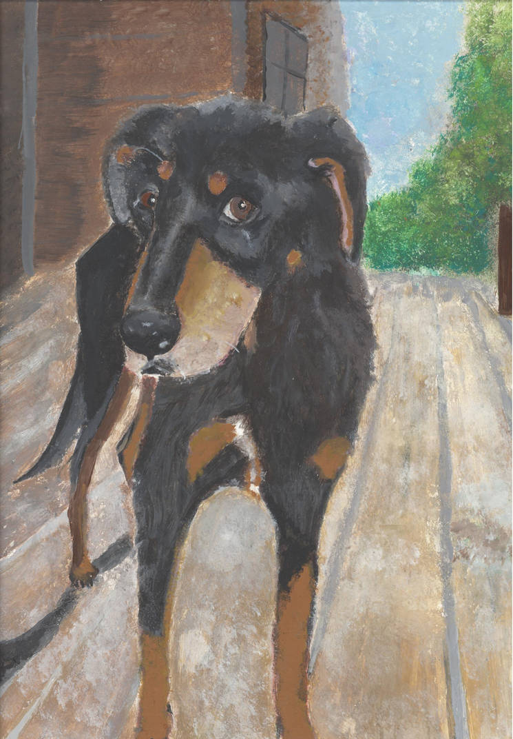 RIP Riley by natalieoh on DeviantArt