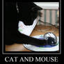 Cat and Mouse