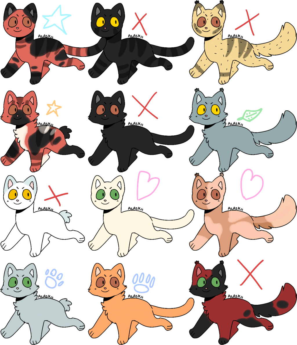 Clan generator thing, but instead of learning how to draw i spent 3 hours  on picrew : r/WarriorCats