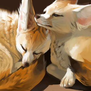 Fennecs