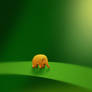 Micro Animals - Elephant