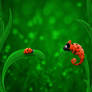 Ladybug and Chameleon