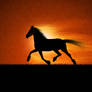 The Running Horse