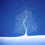 Where Snowflakes Are Born