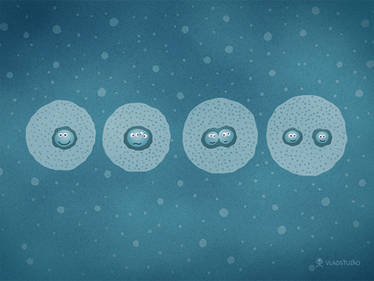 Cell Division