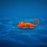 Gecko